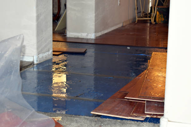 Professional Basement Flood Cleanup technician working in Delta, OH